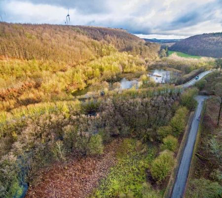 Blick auf den kleinen See in Husen. Foto: Wasserverband Obere Lippe